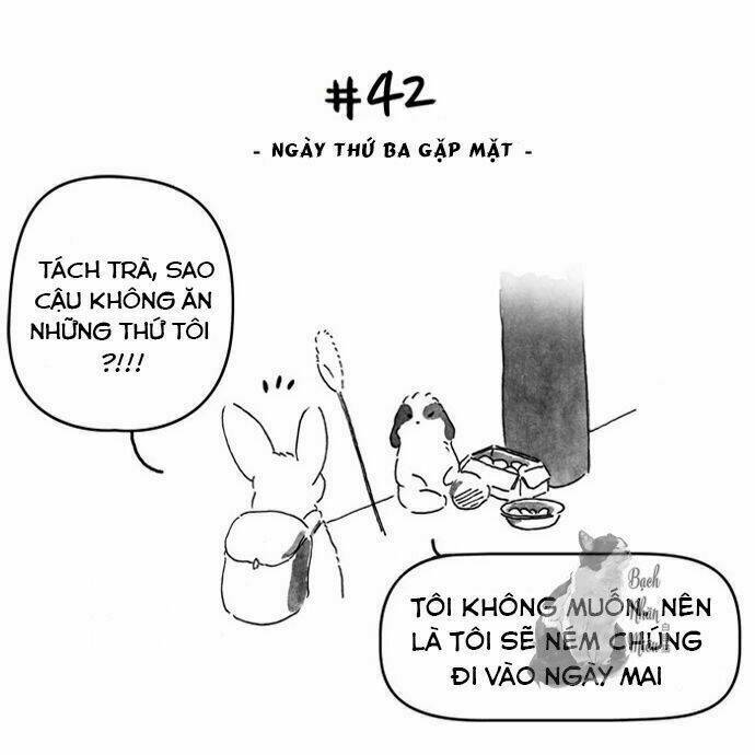 All That We Hope To Be: Chapter 11