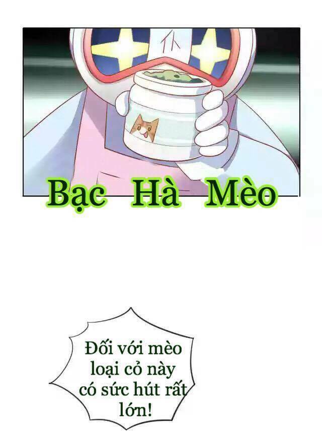 Dưới Móng Vuốt Mèo: Chapter 12