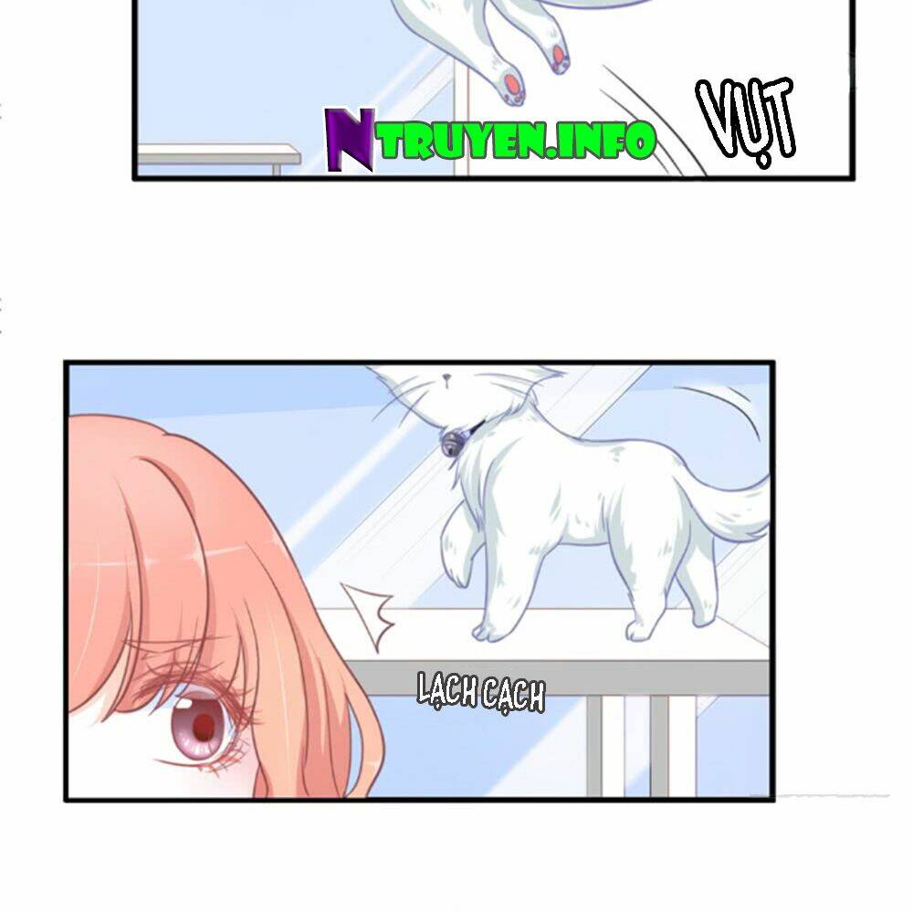 Cẩm Lý Thiếu Nữ Của Tôi: Chapter 5.3