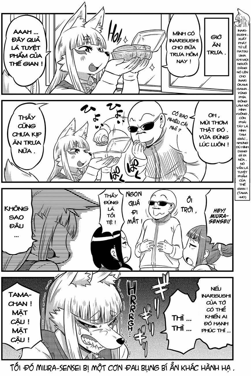 High School Inari Tamamo-Chan: Chapter 5