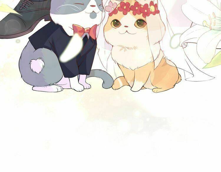 Bên Anh Mới Là Cả Thế Giới: Chapter 5