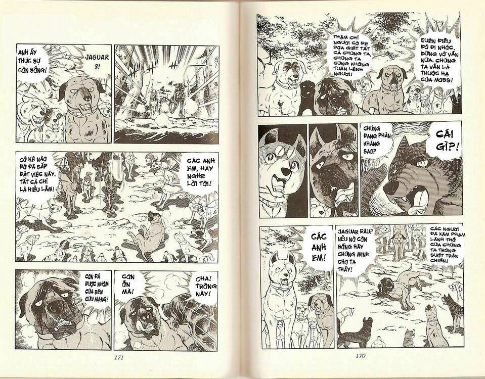 Chú Chó Có Nghĩa - Ginga Nagareboshi Gin: Chapter 16