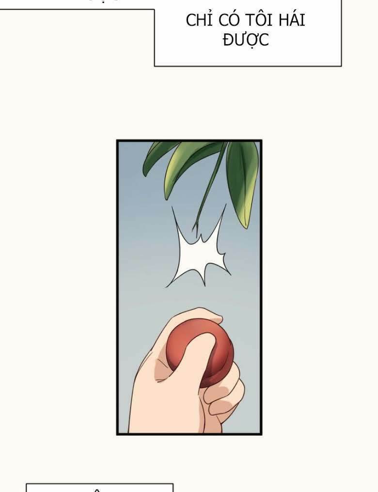 Hệ Thống Tu Tiên Mạnh Nhất: Chapter 23
