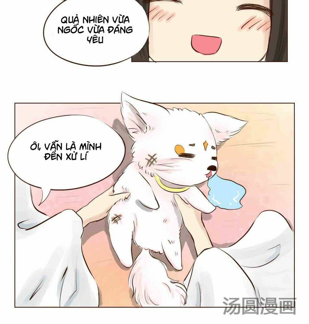 Mẫu Phi Đuôi Của Người Lộ Ra Rồi Kìa: Chapter 4