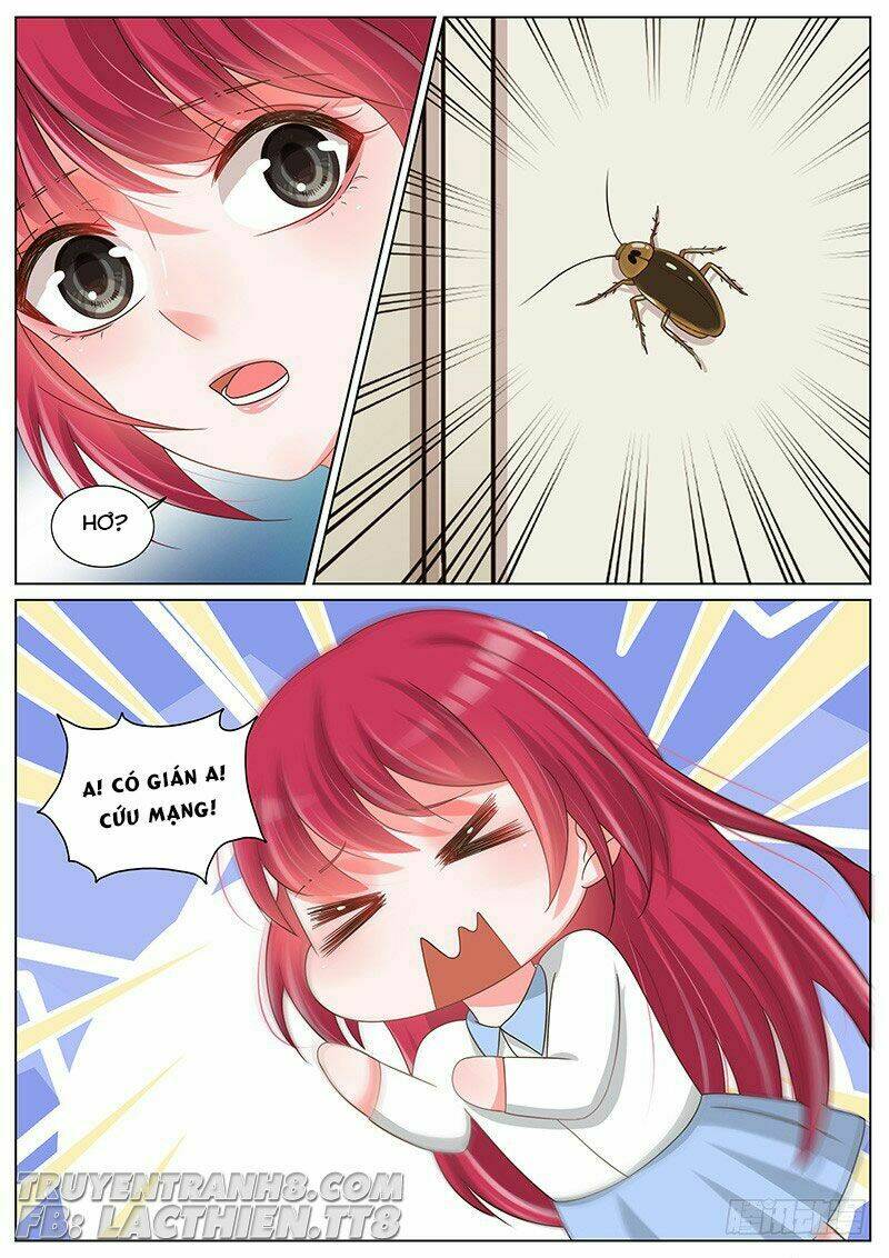 Vương Bài Giáo Thảo: Chapter 198