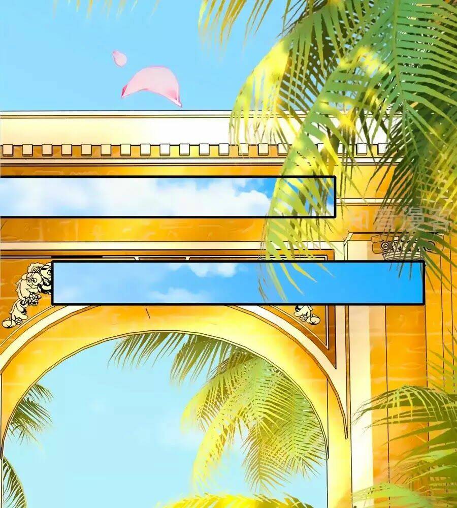 Sủng Hậu Của Vương: Chapter 4