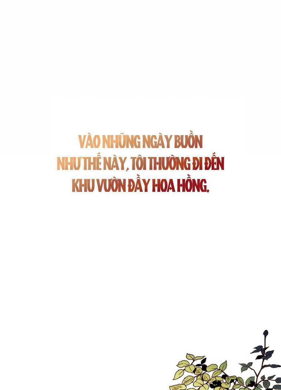 Lòng Trung Thành Với Kẻ Ác: Chapter 2