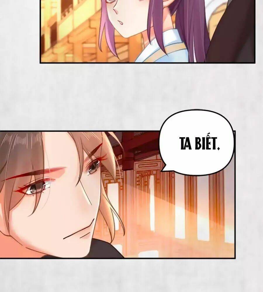 Hoạn Phi Hoàn Triều: Chapter 40