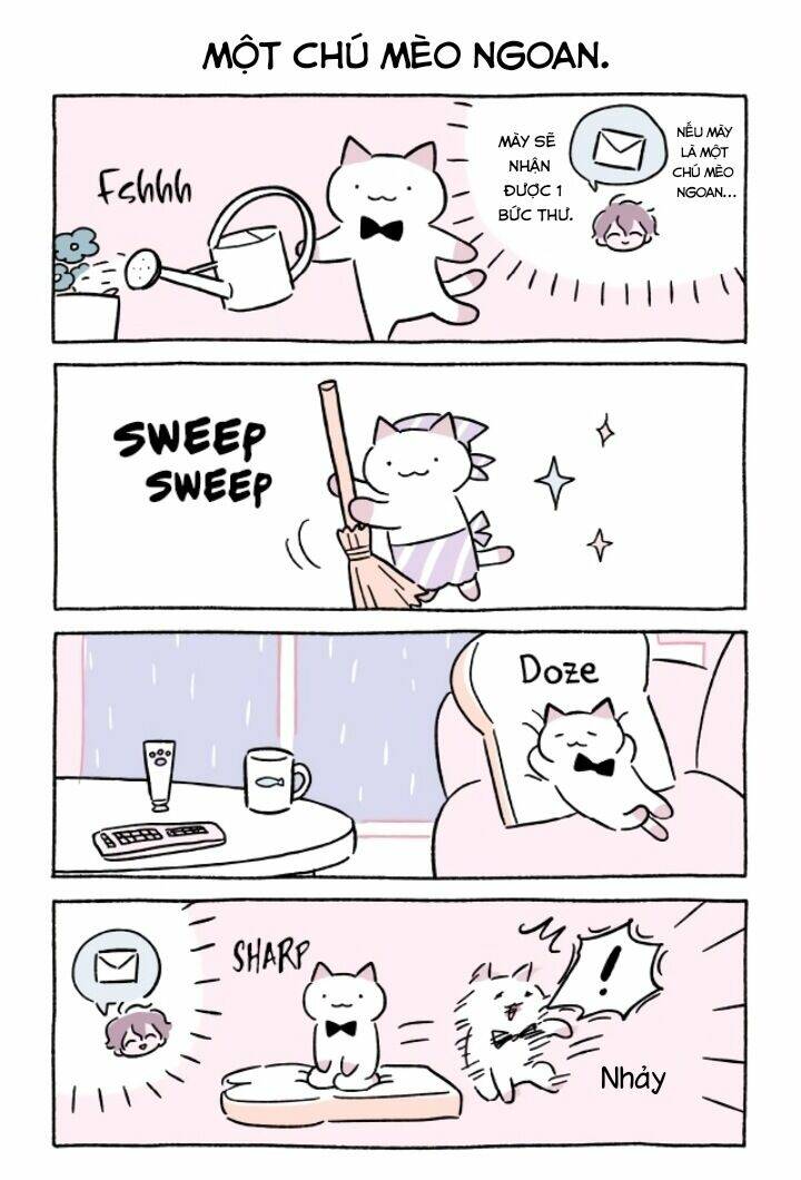 Chú Mèo Kỳ Diệu Kyuu-Chan: Chapter 669