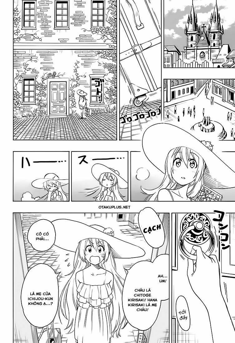 Tình Yêu Ngang Trái: Chapter 216