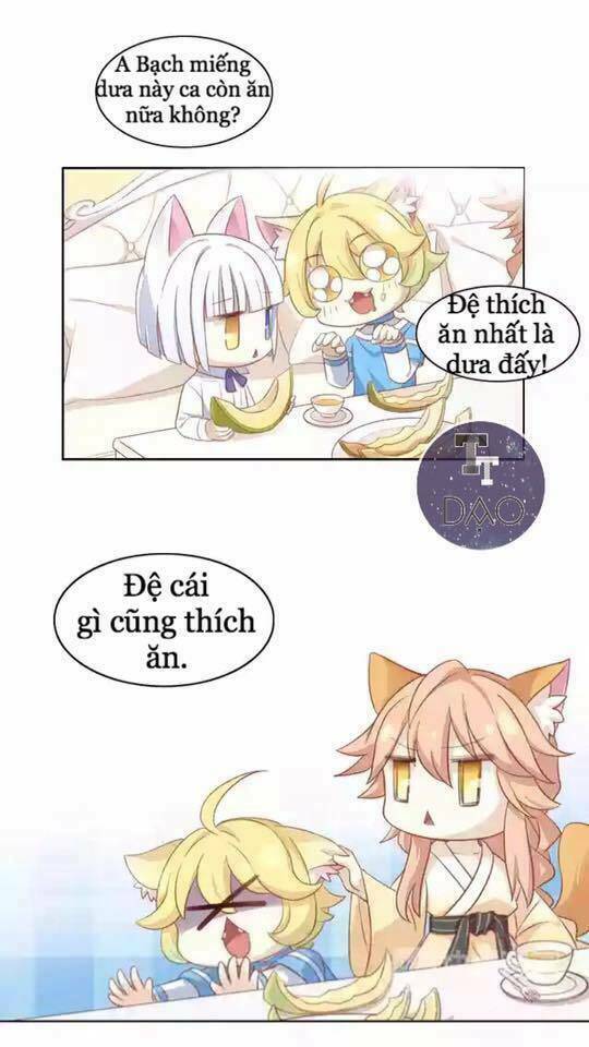 Dưới Móng Vuốt Mèo: Chapter 12