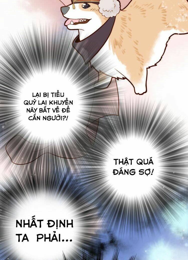 Cướp Lấy Nàng Dâu Mừng Năm Mới: Chapter 2