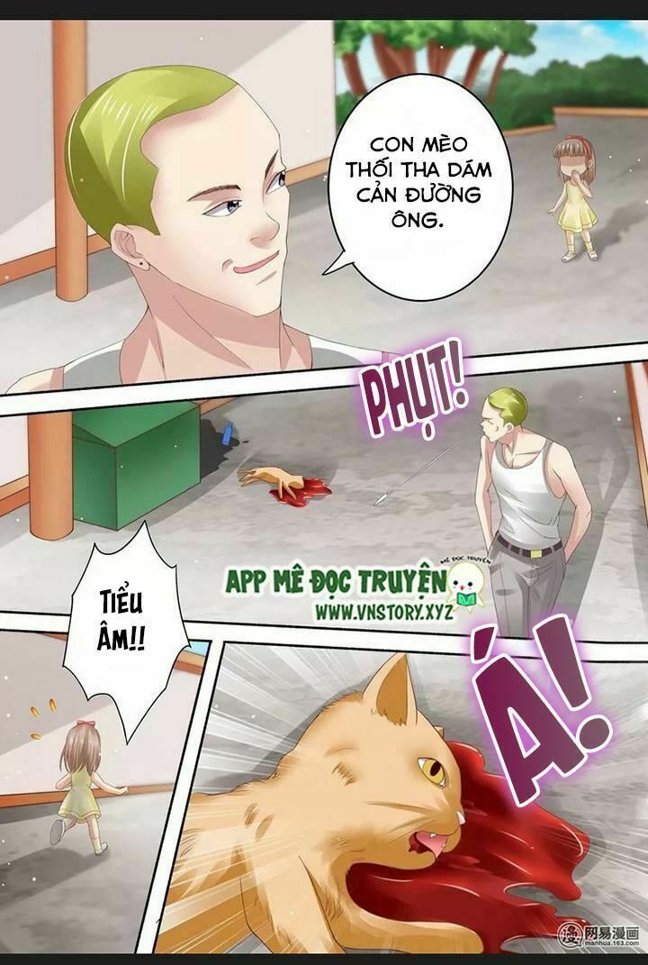 Cưng Chiều Vợ Yêu: Chapter 73: Chuyện cũ về mèo