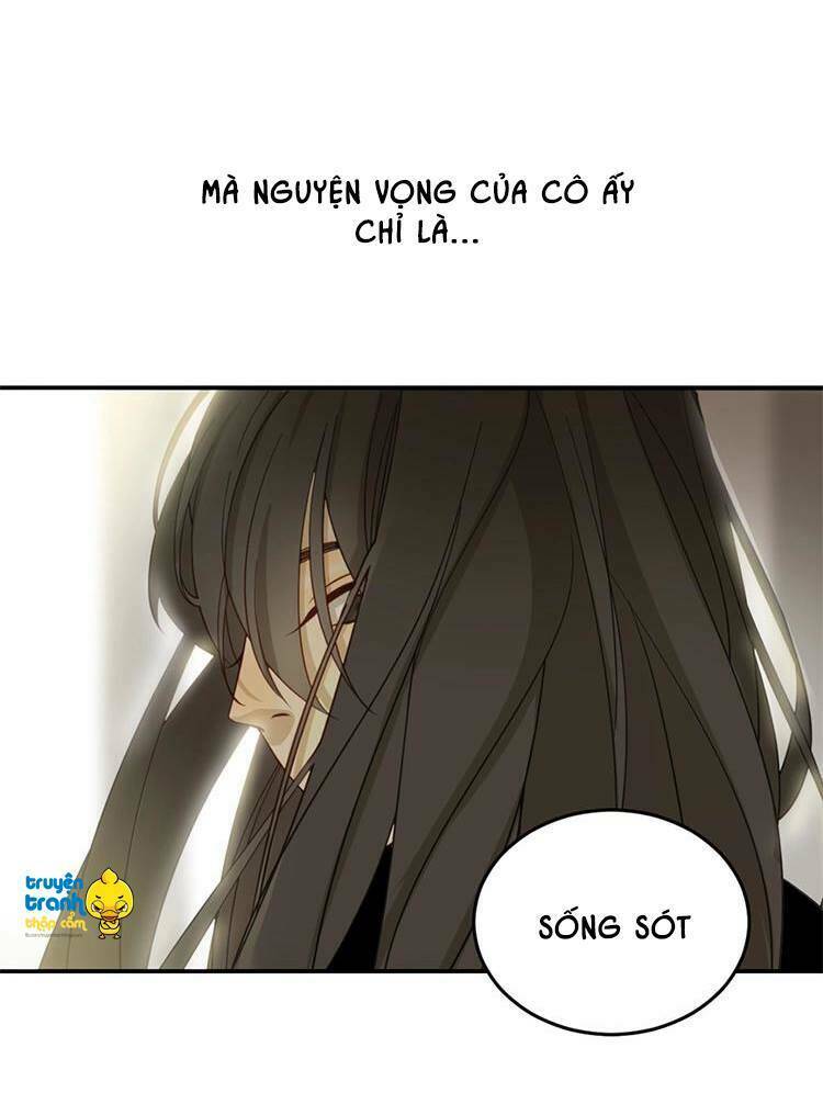 Cứu Mạng! Loài Mèo Thống Trị Thế Giới Rồi!: Chapter 1