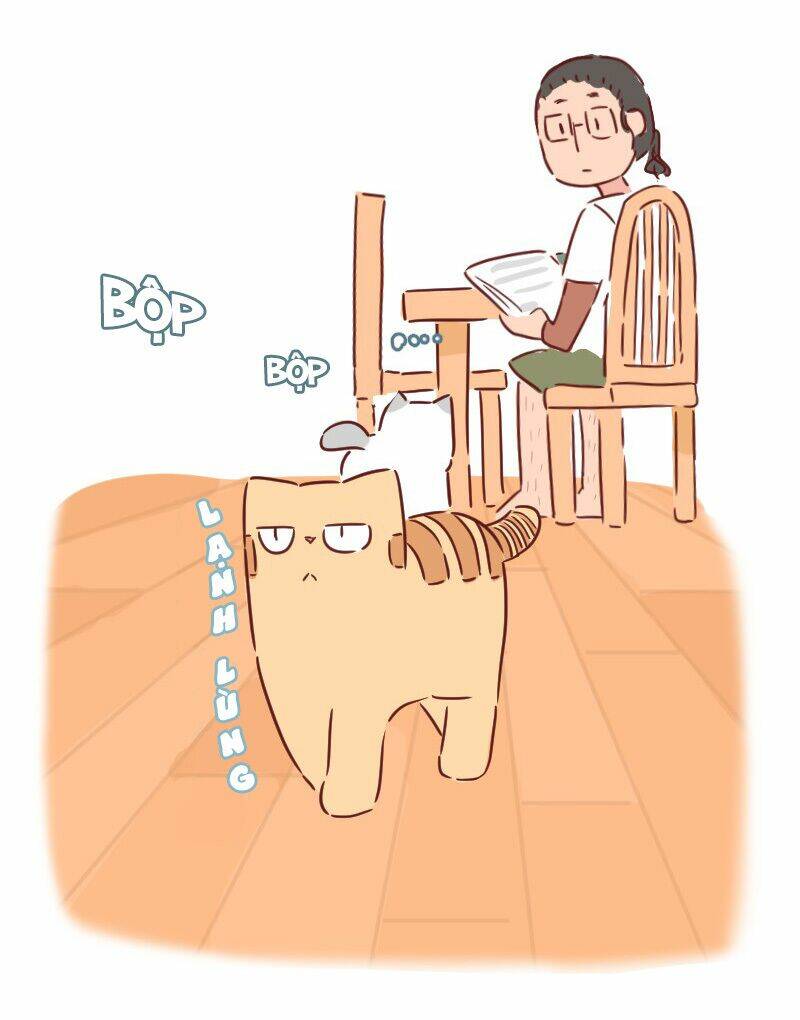 Saphie: Chú mèo một mắt: Chapter 30