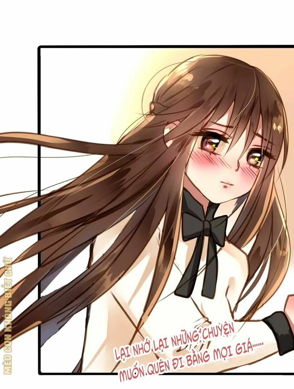 Không Có Ssr Làm Sao Để Yêu: Chapter 3