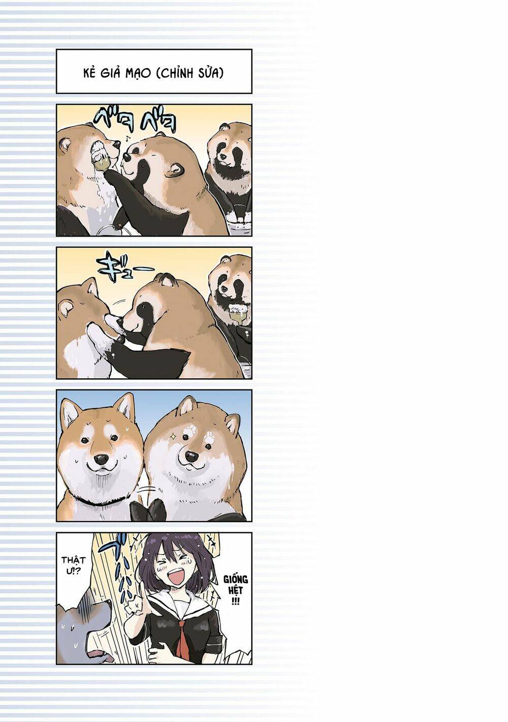 Lang Thang Miền Tận Thế Với Chú Chó Shiba Của Tôi: Chapter 7