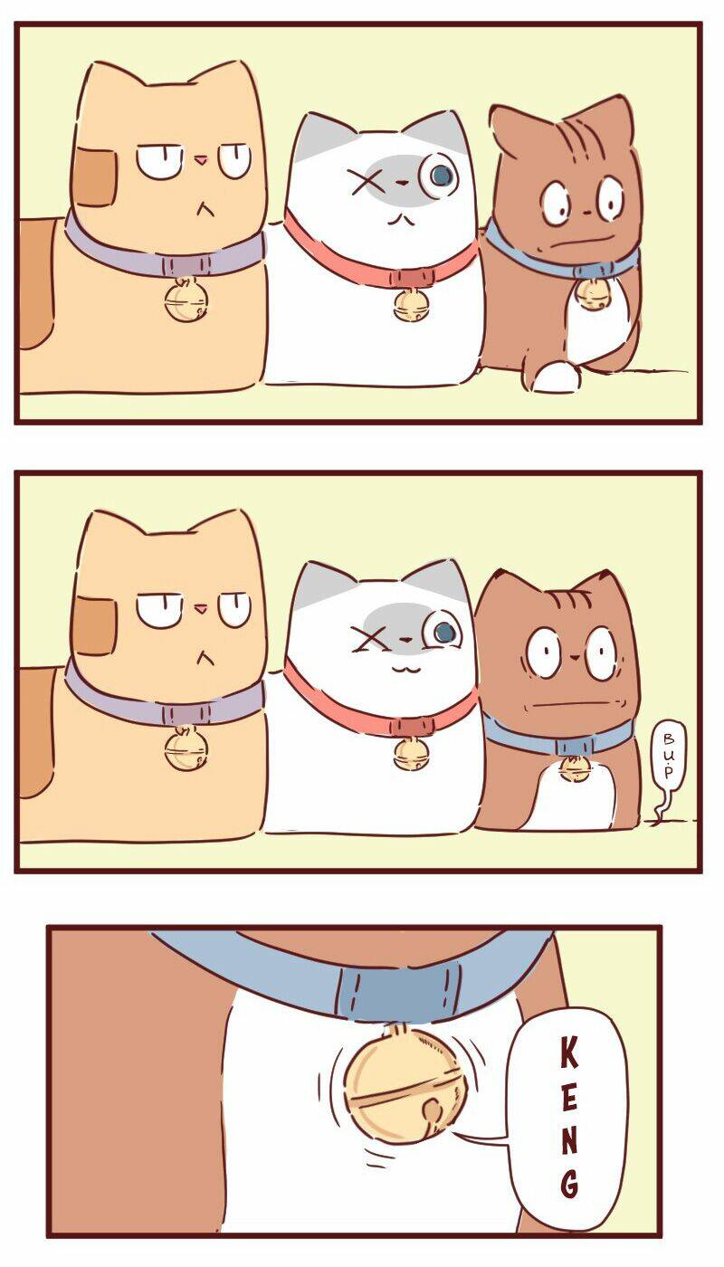 Saphie: Chú mèo một mắt: Chapter 28