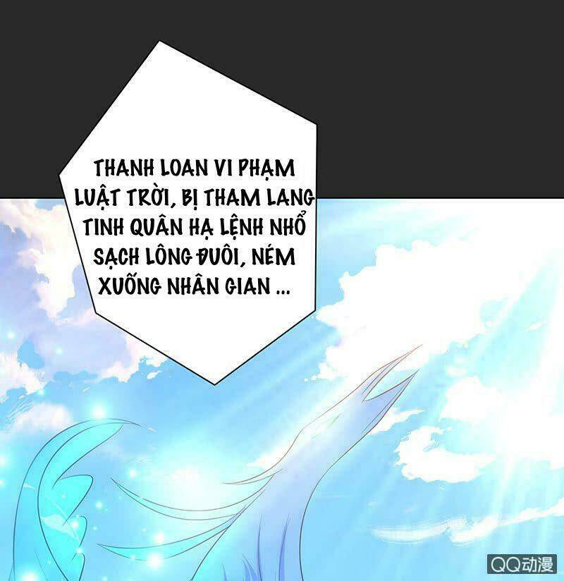 Băng Sơn Học Trưởng Không Được Chọc: Chapter 52.2