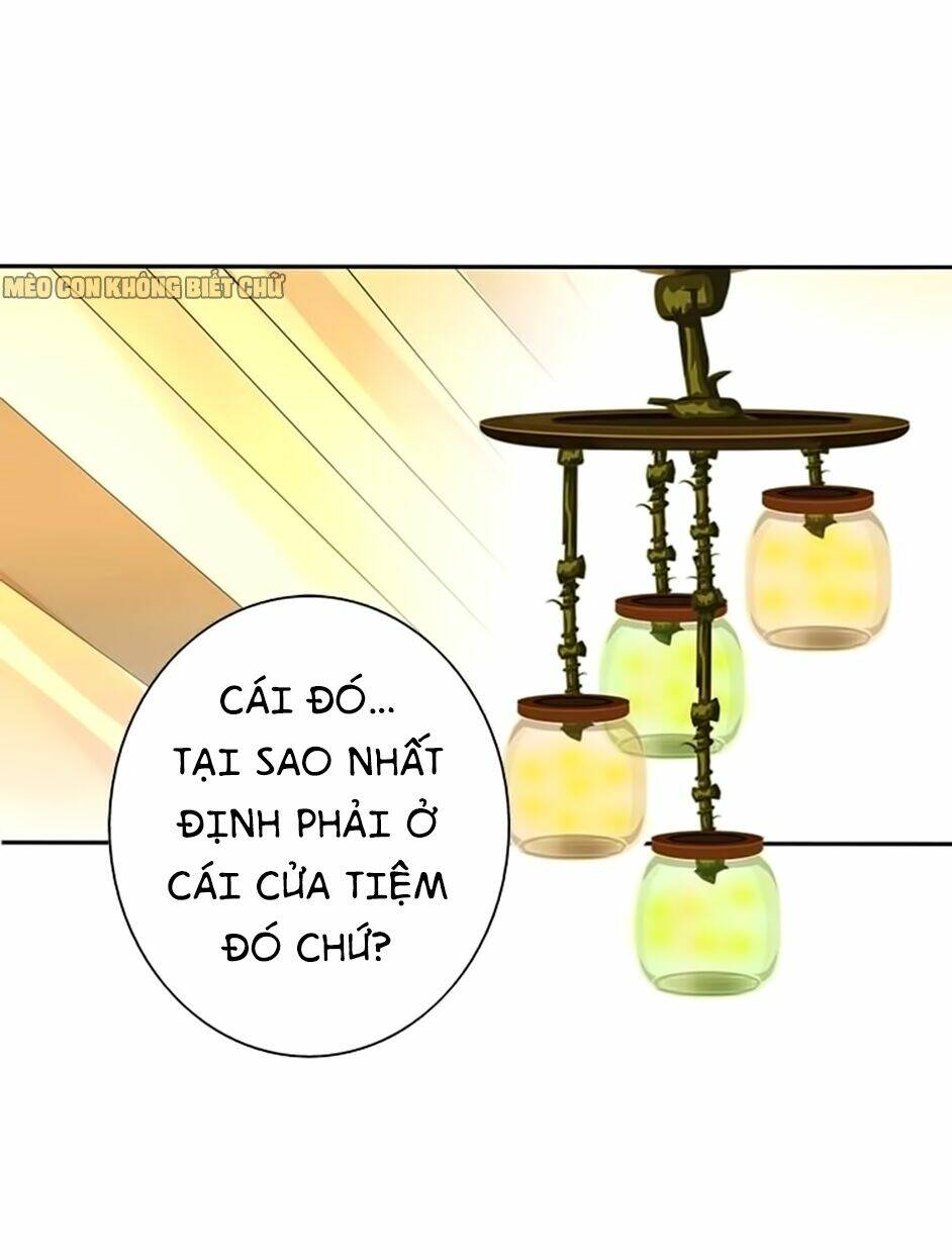 Không Có Ssr Làm Sao Để Yêu: Chapter 11