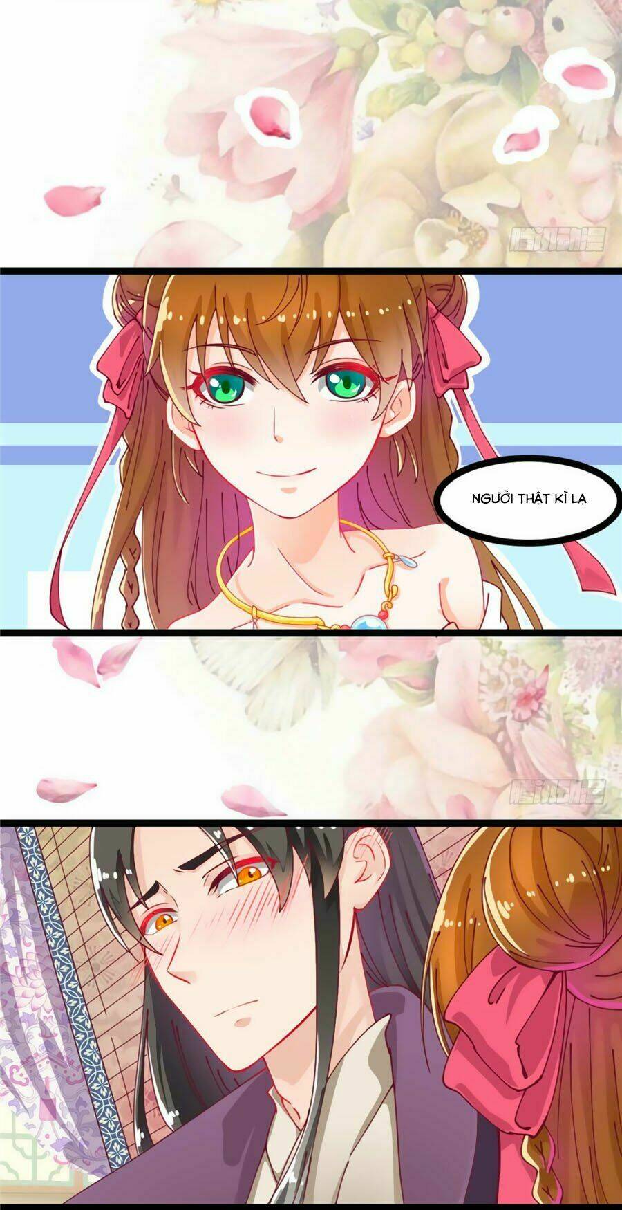 Ngọc Vi Mai: Chapter 5