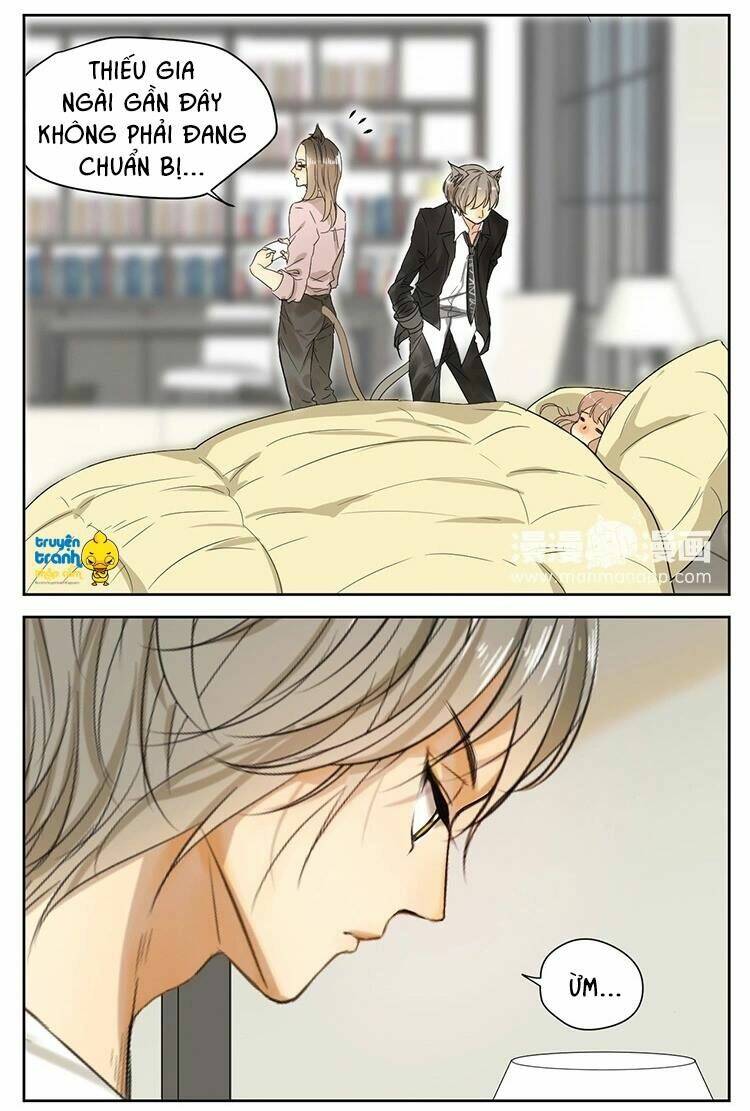 Cứu Mạng! Loài Mèo Thống Trị Thế Giới Rồi!: Chapter 14