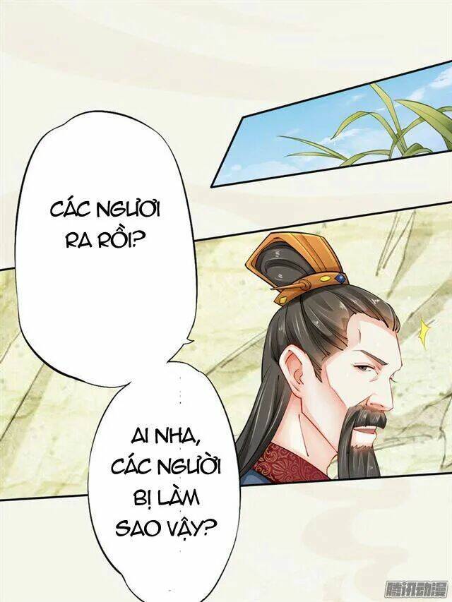 Tuyệt Thế Luyện Đan Sư: Chapter 15