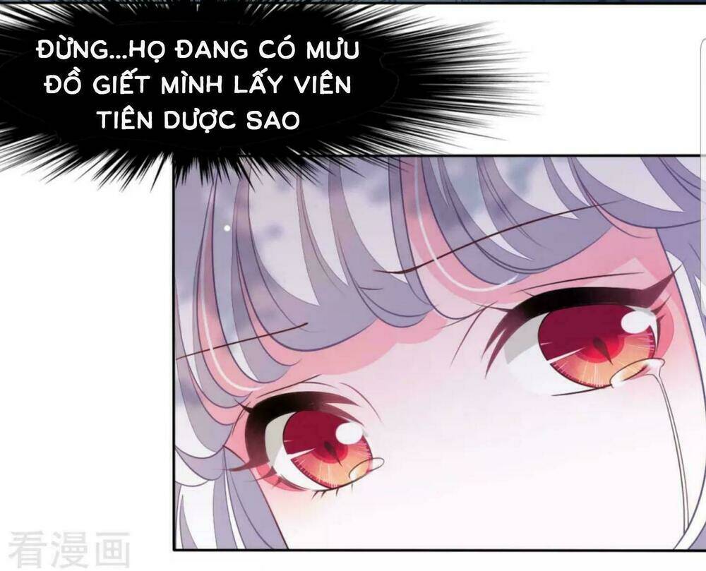 Xuyên Về Cổ Đại Làm Quốc Bảo: Chapter 26