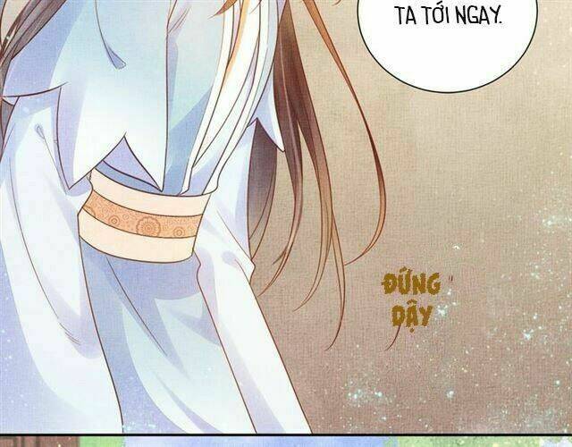 Thịnh Sủng Y Phi Chi Dao Quan Truyện: Chapter 46