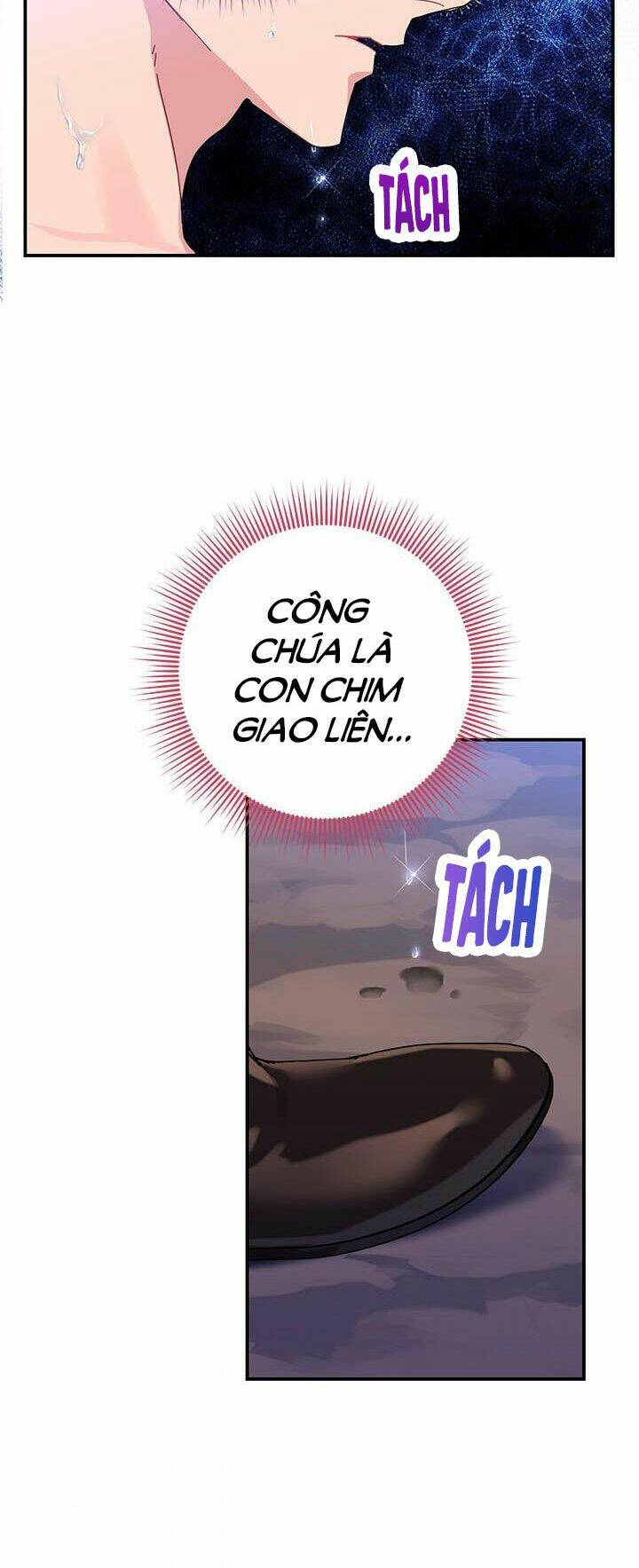 Công Chúa Của Loài Chim: Chapter 50.1