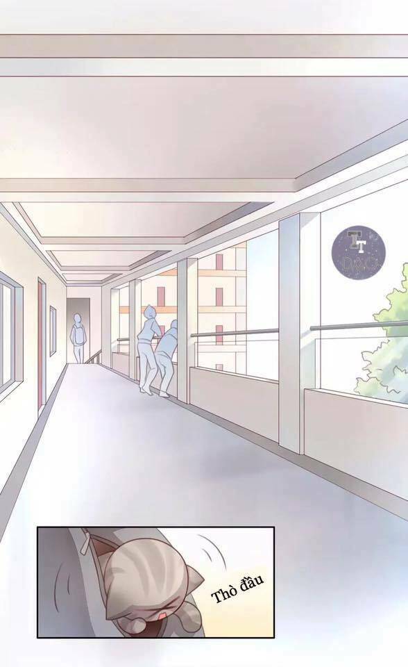 Dưới Móng Vuốt Mèo: Chapter 21