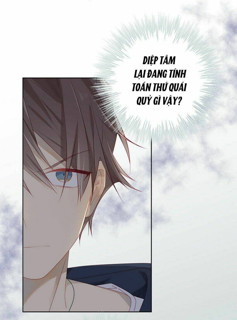 Lời Thề Như Sương Triều: Chapter 5