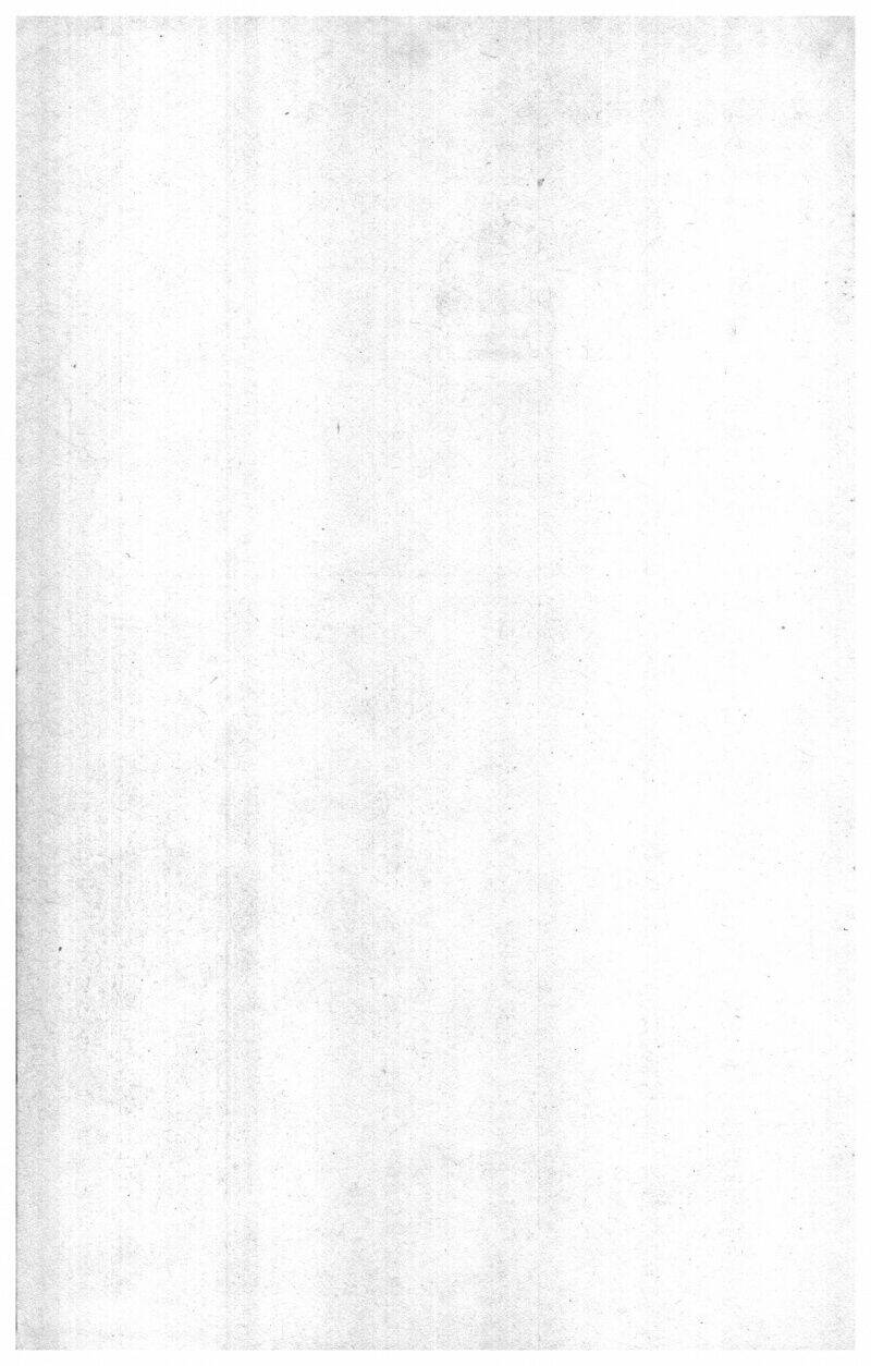 Musashi: Chapter 27