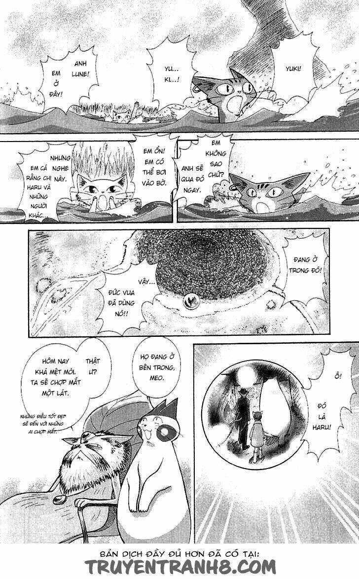 Lời Thì Thầm Từ Trái Tim: Chapter 9