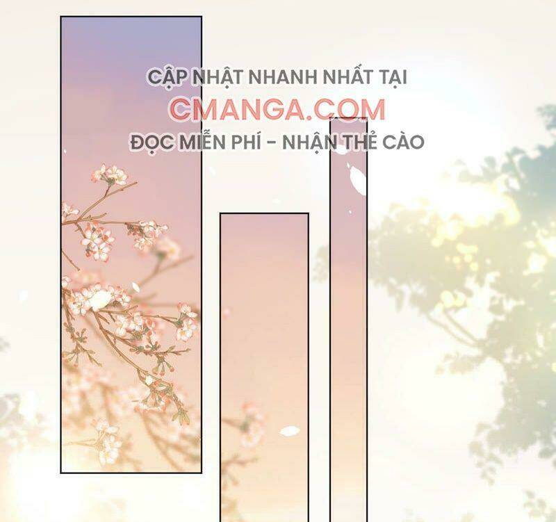 Quận Chúa Vững Vàng, Thiết Lập Nhân Vật Không Thể Vỡ: Chapter 39