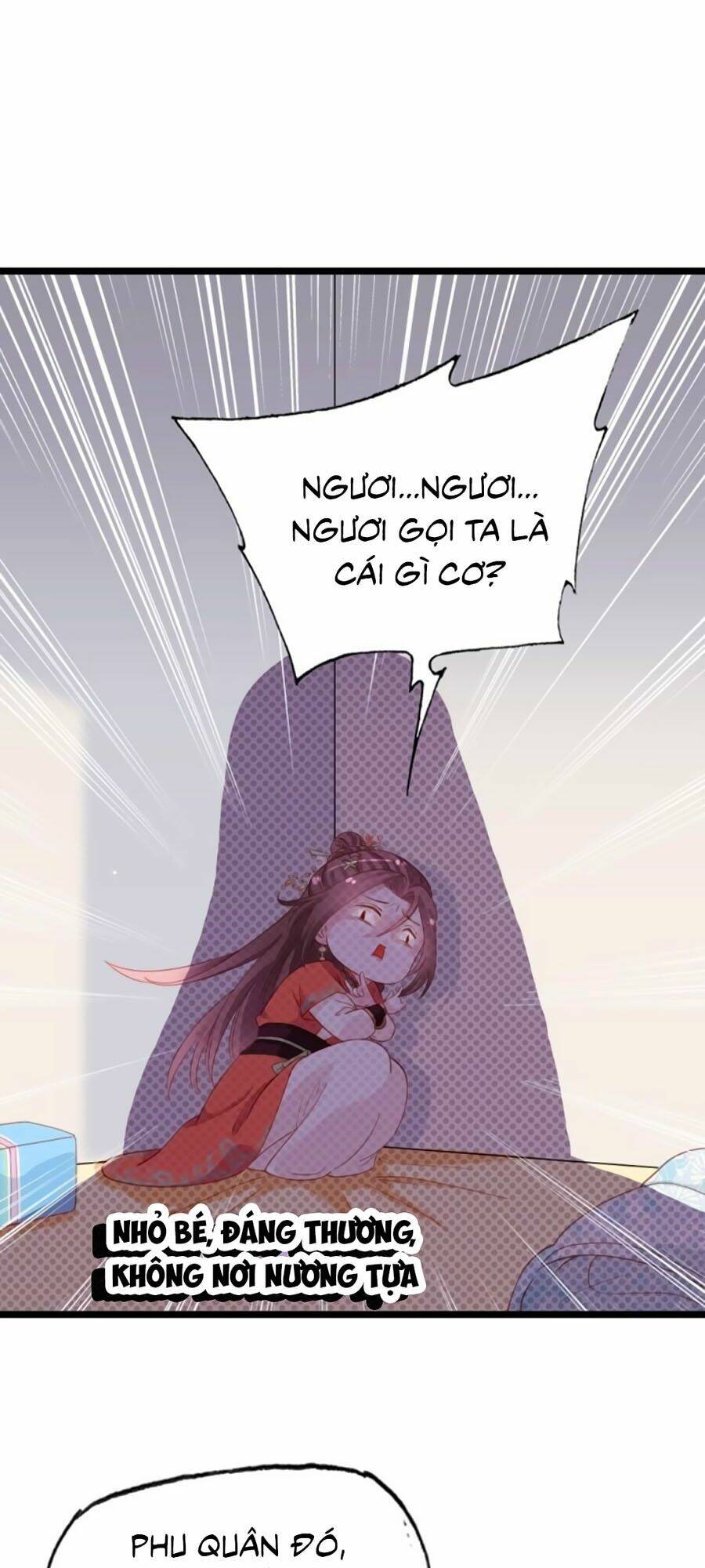 Đứng Lại! Phụng Chỉ Ăn Cướp: Chapter 1