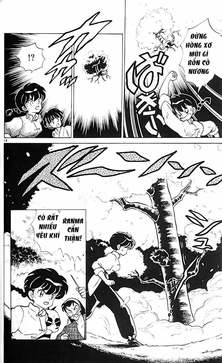 Suối Lời Nguyền: Chapter 318