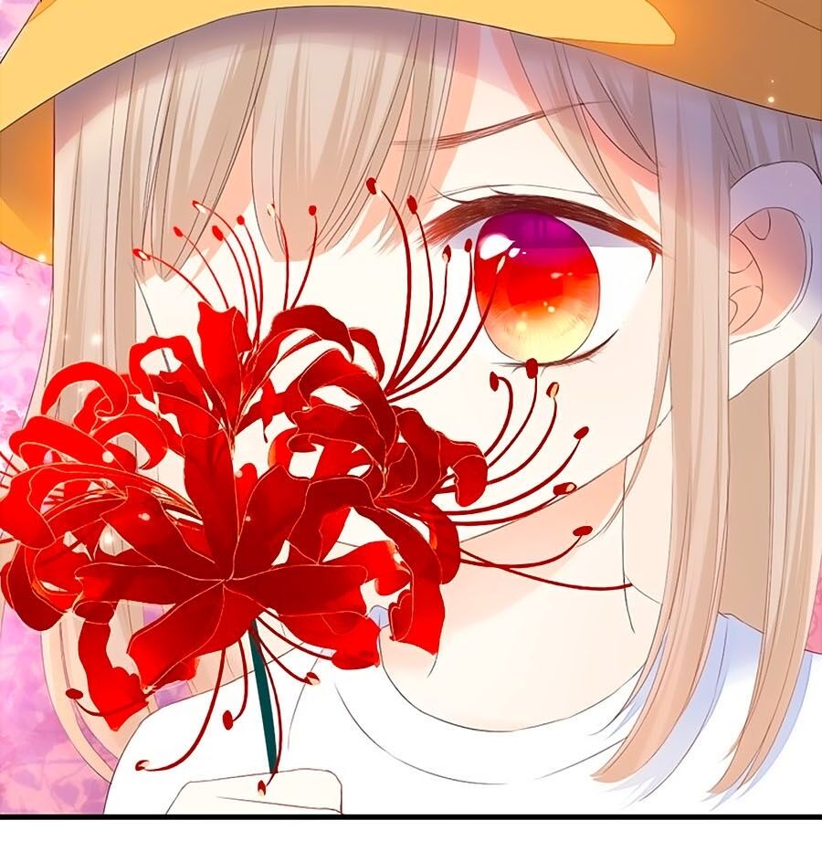 Hoa Chưa Nở Rộ: Chapter 39.6