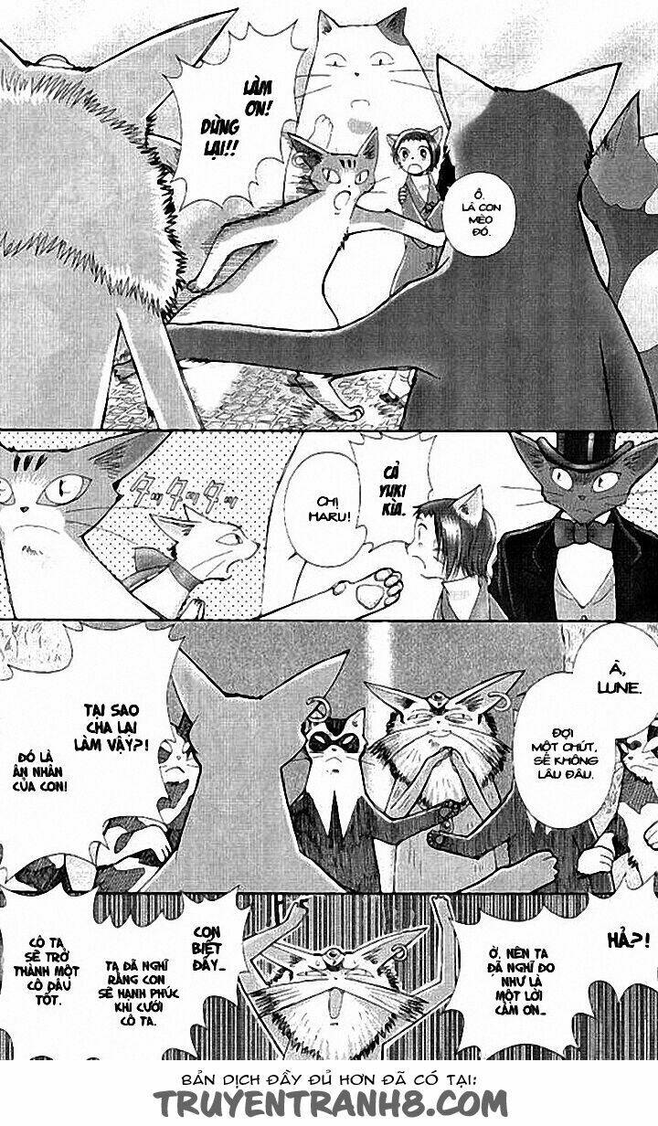Lời Thì Thầm Từ Trái Tim: Chapter 8