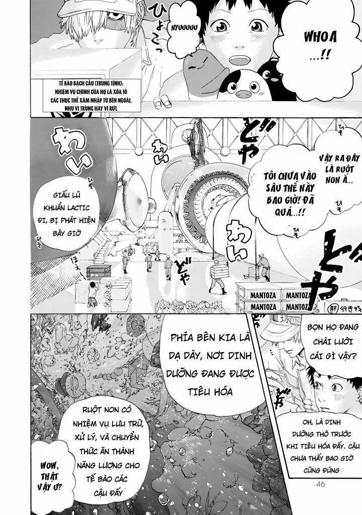 Hataraku Saibou!: Chapter 21