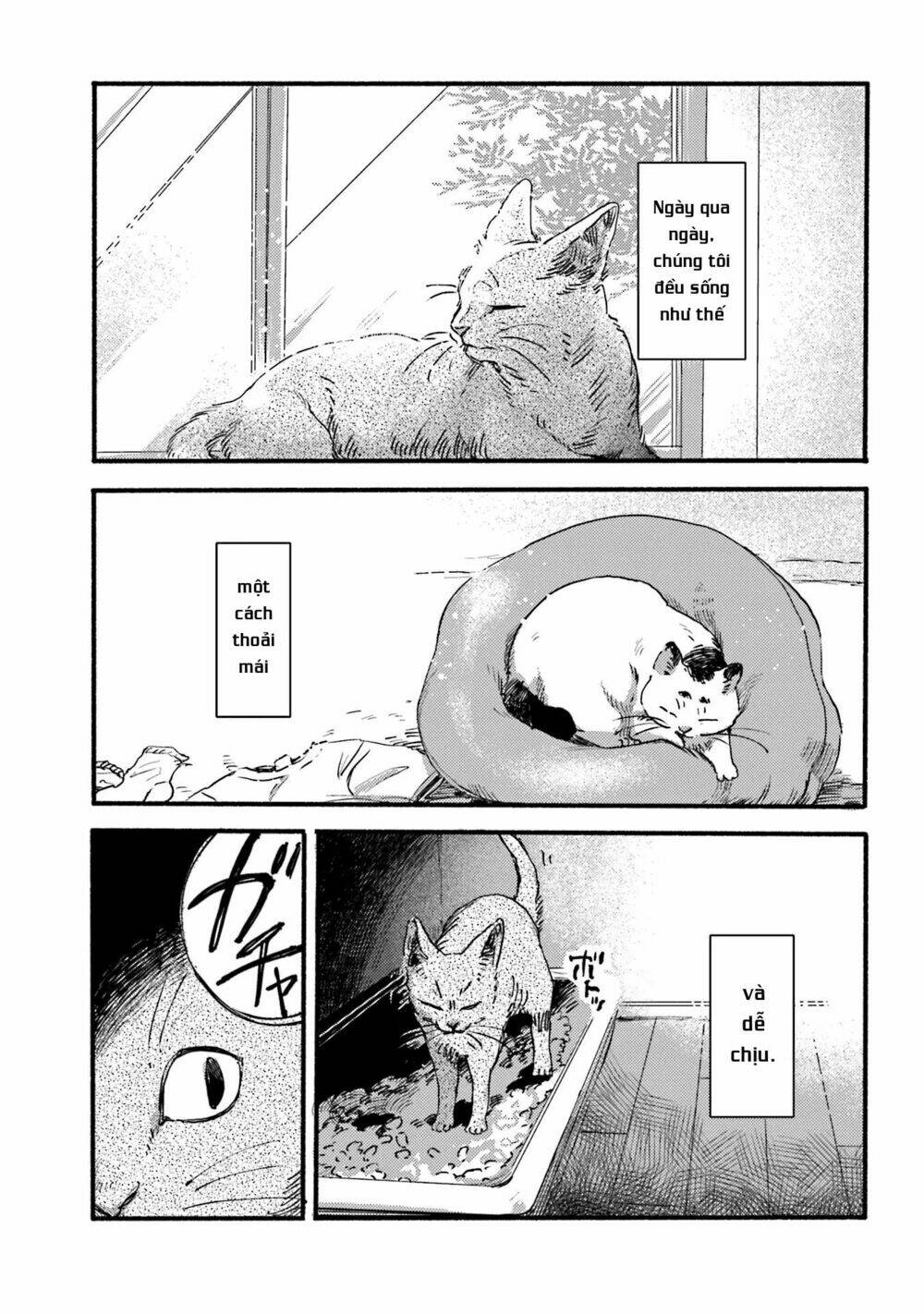 Nekodamari: Chapter 2