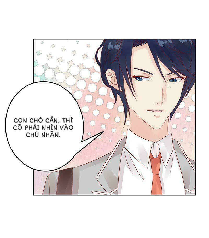 Băng Sơn Học Trưởng Không Được Chọc: Chapter 13