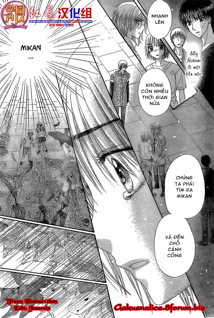 Học Viện Alice: Chapter 135