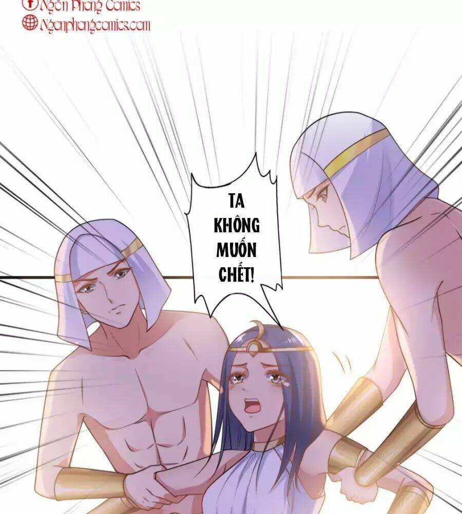 Sủng Hậu Của Vương: Chapter 22