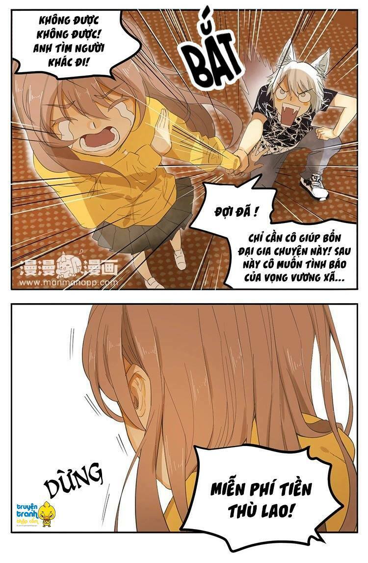 Cứu mạng ! Loài mèo thống trị thế giới rồi !: Chapter 20