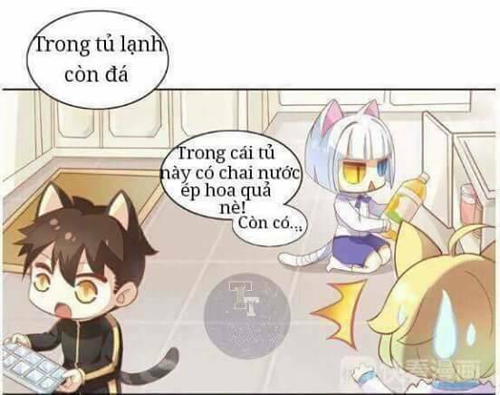Dưới Móng Vuốt Mèo: Chapter 3
