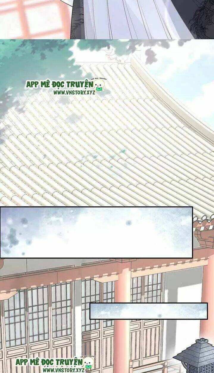 Nhất Sinh Nhất Thế Tiếu Thương Khung: Chapter 41