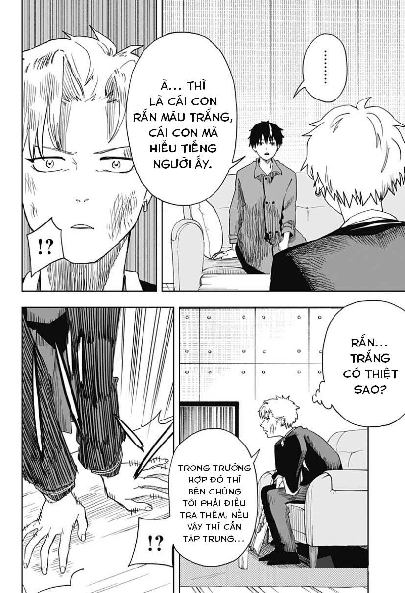 Stage S: Chapter 5