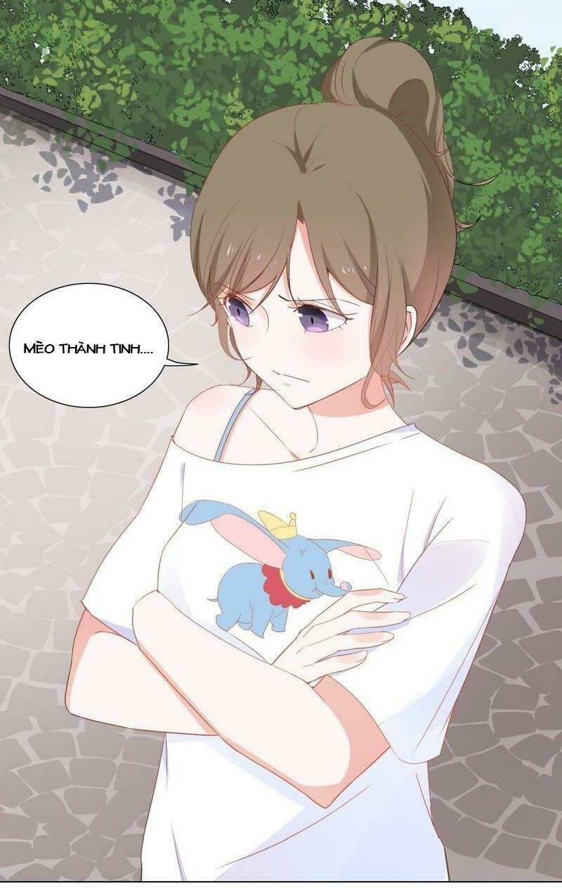 Thập Nhị Hắc Miêu: Chapter 2