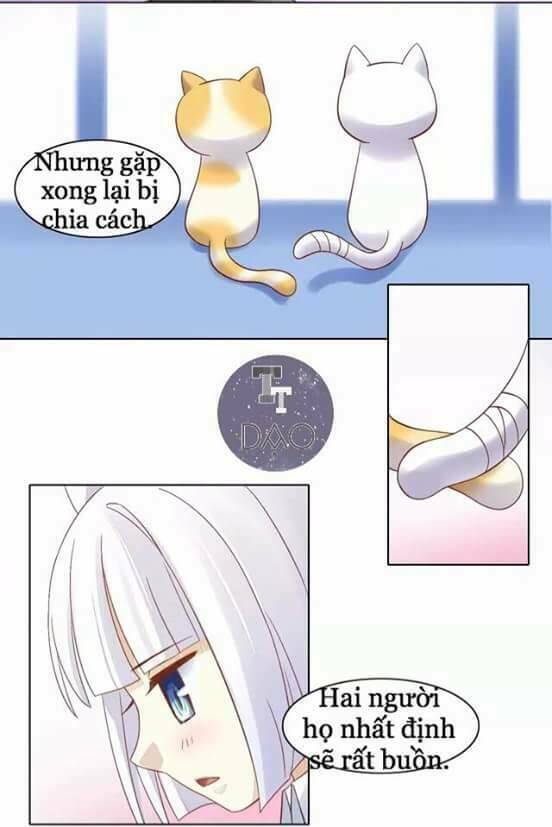 Dưới Móng Vuốt Mèo: Chapter 9